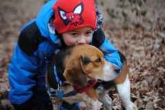 BAXTER_NEWhome2014-800x535