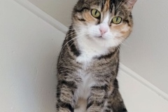 AngieAprilScott1-copy