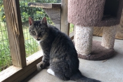 AngusMayCFC3-copy-788x600