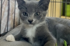 Arwen-Sept-19-2025-1