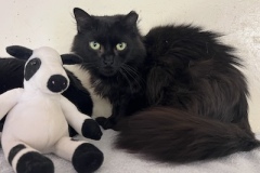 BelindaJuly-copy