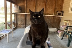 1_Binx1-copy