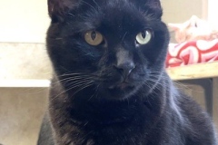 Binx-031524-1