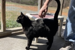 Binx2-copy