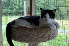 BirdieAugCFC2-760x600