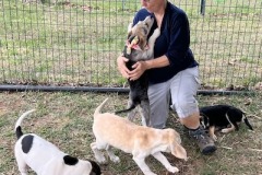 Pups1-copy