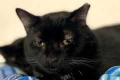 Casper-Feb-24-2026-1