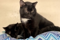 Casper-Feb-24-2026-2