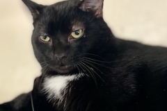 Casper-Feb-24-2026-4