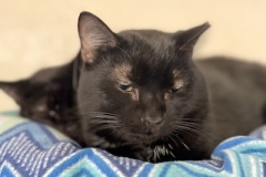 Casper-Feb-24-2026-5