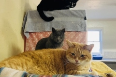 CeraCaseySallyOct-copy