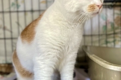 Charlotte-Oct-22-2025-1