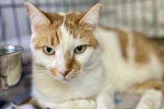 Charlotte-Oct-22-2025-2