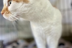 Charlotte-Oct-22-2025-3