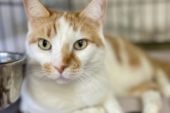 Charlotte-Oct-22-2025-4