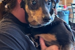 Daisy6
