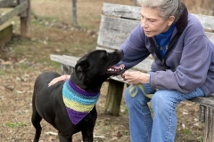 DarbyDecCFC4-678x600