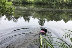 DarbyMayCFC1-800x600