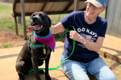 Screen-Shot-2022-03-27-at-5.16.22-PM-677x600