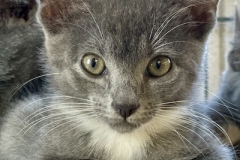 Eowyn-Sept-19-2025-2
