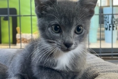 Eowyn-Sept-19-2025-3