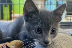 Eowyn-Sept-19-2025-4