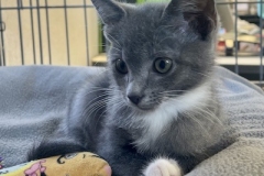 Eowyn-Sept-19-2025-5