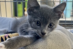 Eowyn-Sept-19-2025-6