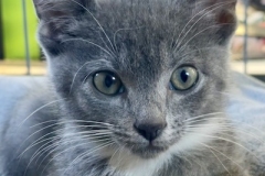 Eowyn-Sept-19-2025-7