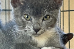 Eowyn-Sept-19-2025