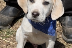 Finnegan3-copy