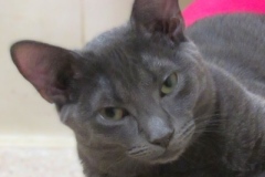 Frenchy-Oct-7-2025-1