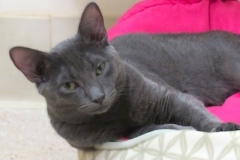 Frenchy-Oct-7-2025-2