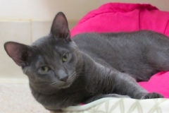 Frenchy-Oct-7-2025-3