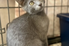 Gandalf-Sept-19-2025-2