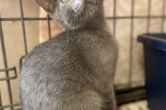 Gandalf-Sept-19-2025-3