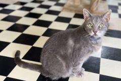 JackMarchCFC2-713x600