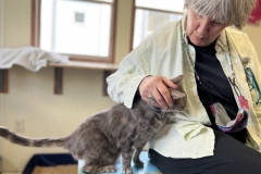 JackMarchCFC6-800x589