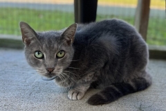 JackSeptCFC1-755x600