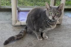 JackSeptCFC4-758x600