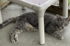 jack-07062022-800x454