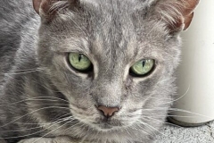 jack-2-07062022-450x600