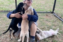 Pups8-copy