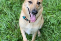 Luna_GSD_3