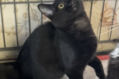 Screenshot-2026-01-07-at-8.02.34-AM