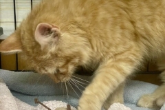 Marv-April-24-2025-2