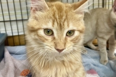 Marv-April-24-2025-3