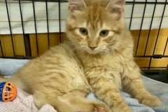 Marv-April-24-2025-4