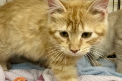 Marv-April-24-2025-5