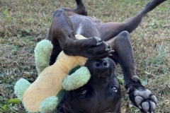 MaverickAngelaCFC-658x600